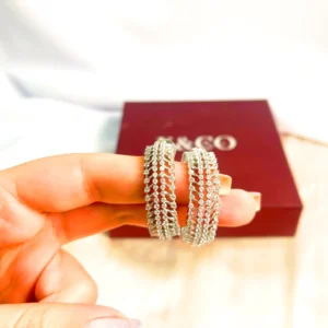 Large Stylish Silver Hoops