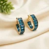 Crystal Hoops Earrings