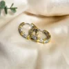 Stylish Huggie Hoops Earrings