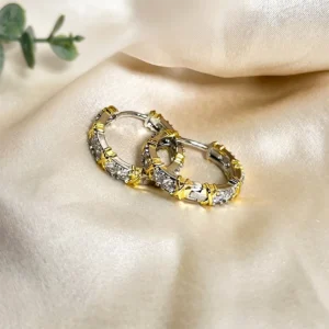 Stylish Huggie Hoops Earrings