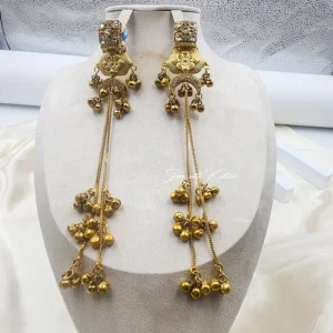 Gulnaar Kashmiri Long Antique Gold Earrings